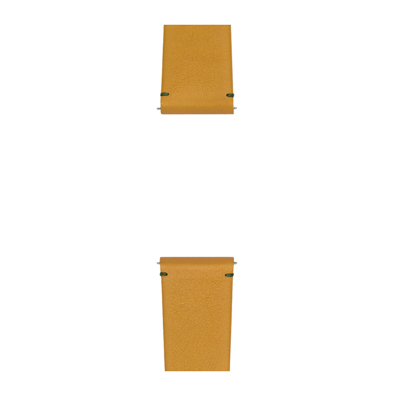 Leather Terrestre / Mustard / 44mm